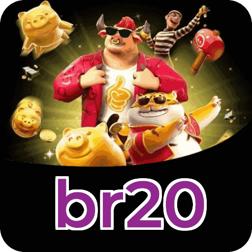 Interface br20