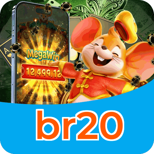 Performance br20